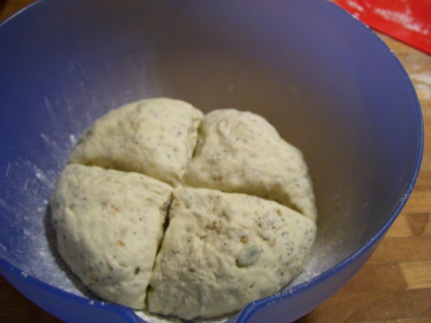 pane-quasi-panda-001 pane-quasi-panda-001