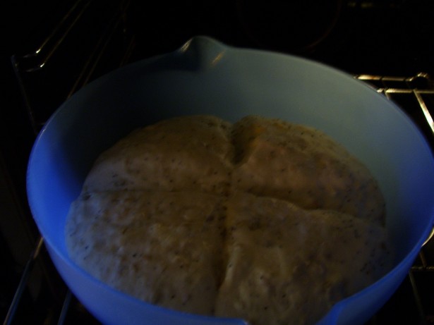 pane-quasi-panda-002 pane-quasi-panda-002