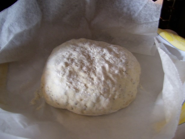 pane-quasi-panda-003 pane-quasi-panda-003