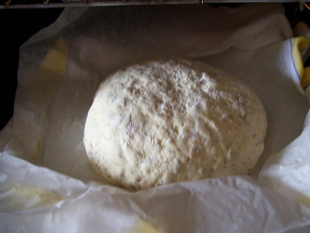 pane-quasi-panda-0041 pane-quasi-panda-0041
