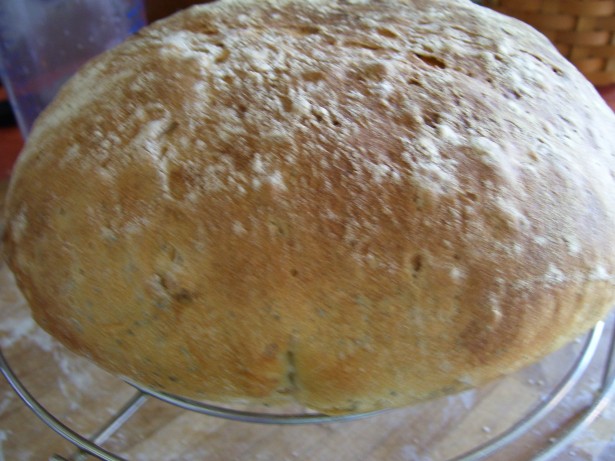 pane-quasi-panda-005 pane-quasi-panda-005