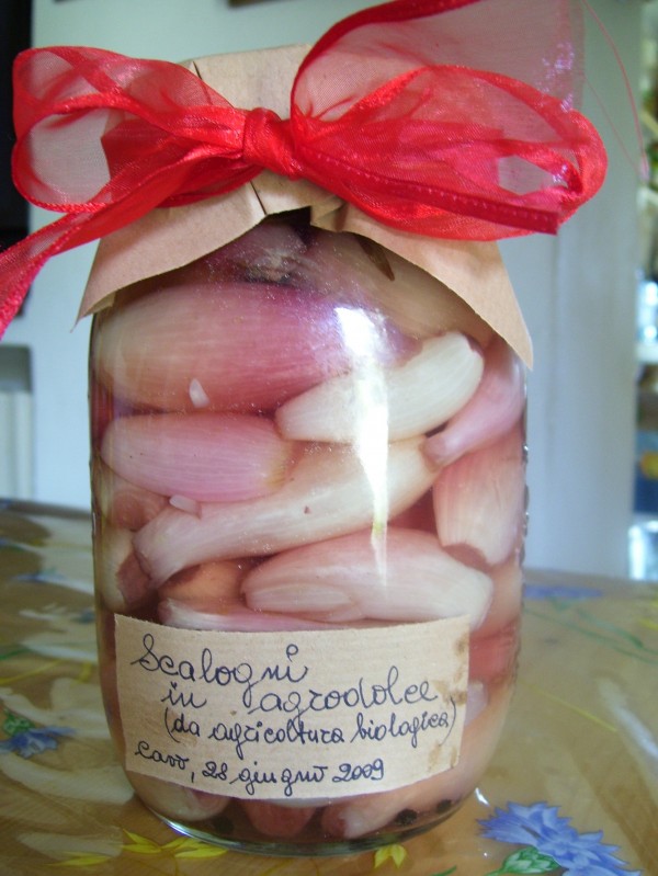 scalogni-in-agrodolce scalogni-in-agrodolce